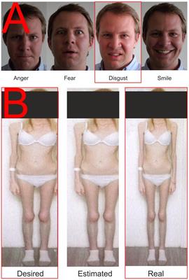 The sight of one’s own body: Could qEEG help predict the treatment response in anorexia nervosa?